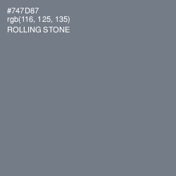#747D87 - Rolling Stone Color Image